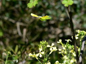 MISE A  JOUR  en cours