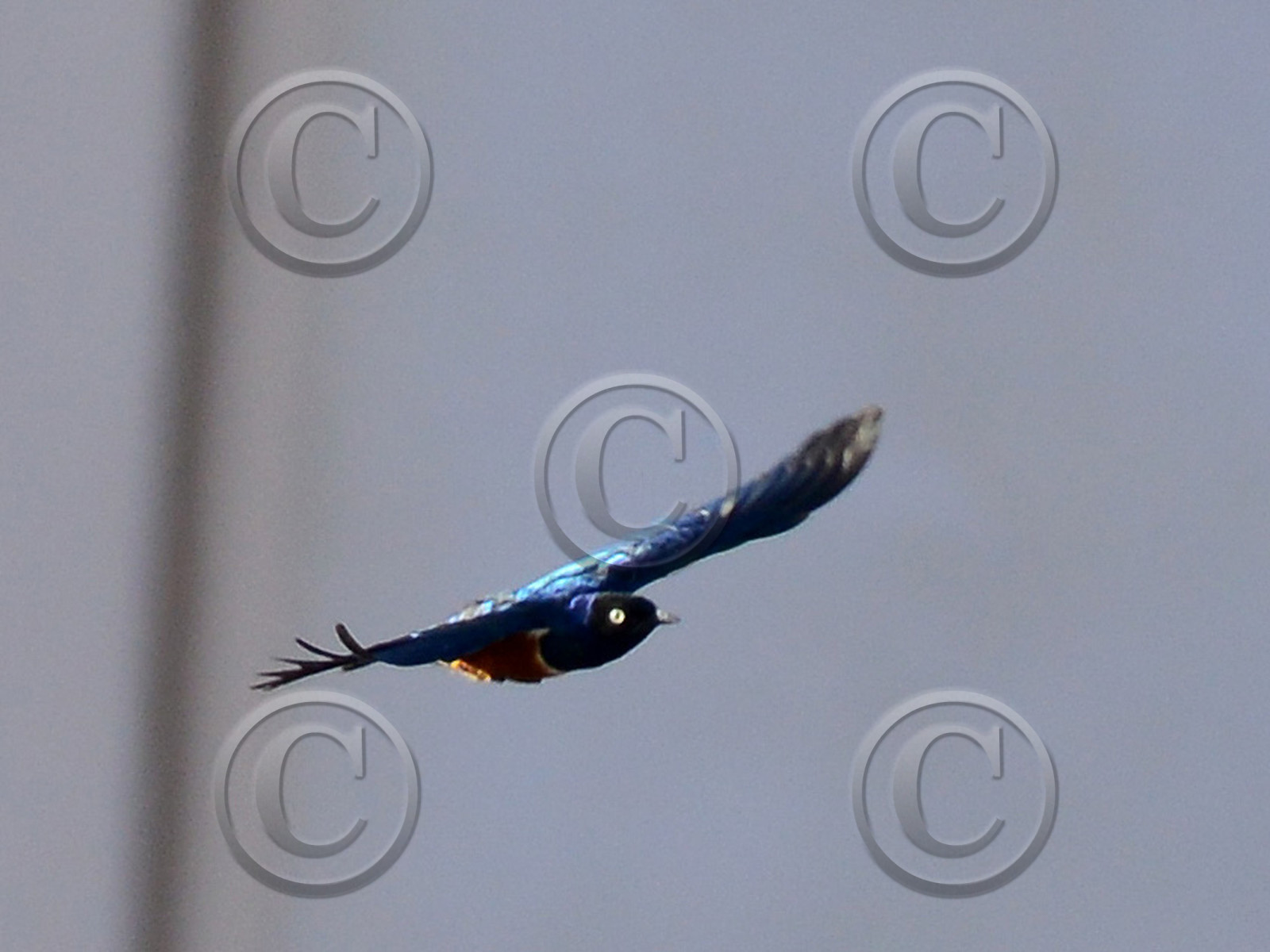 MISE A  JOUR  en cours