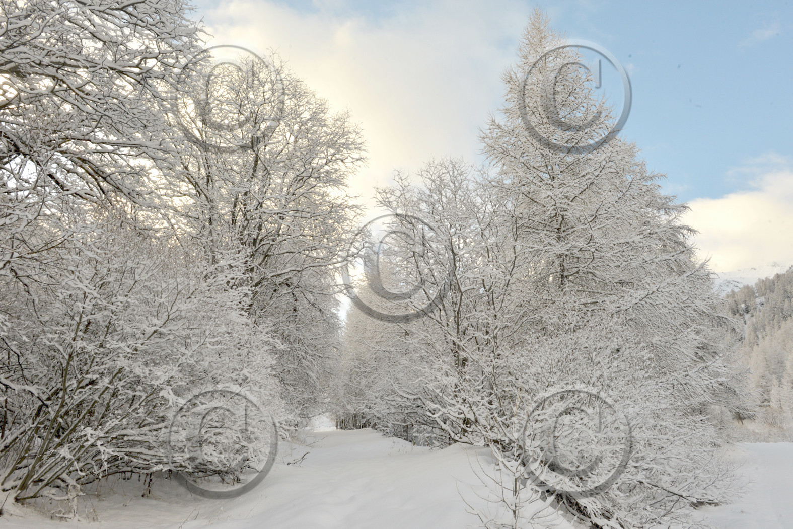 ALPES DE HAUTE PROVENCE
