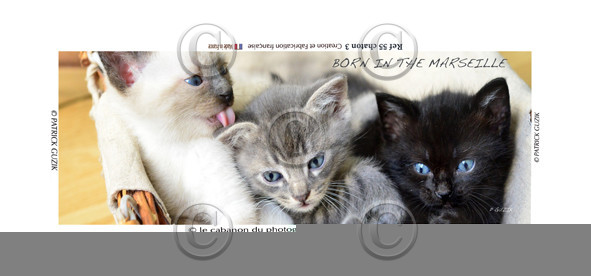 COLLECTION MAGNETIQUE&nbsp;MAGNET MARSEILLE et CALANQUE ,PROVENCE&nbsp; ........