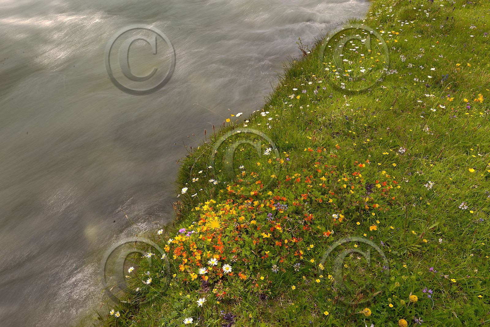 DANS LES ALPES DU SUD  , LE QUEYRAS