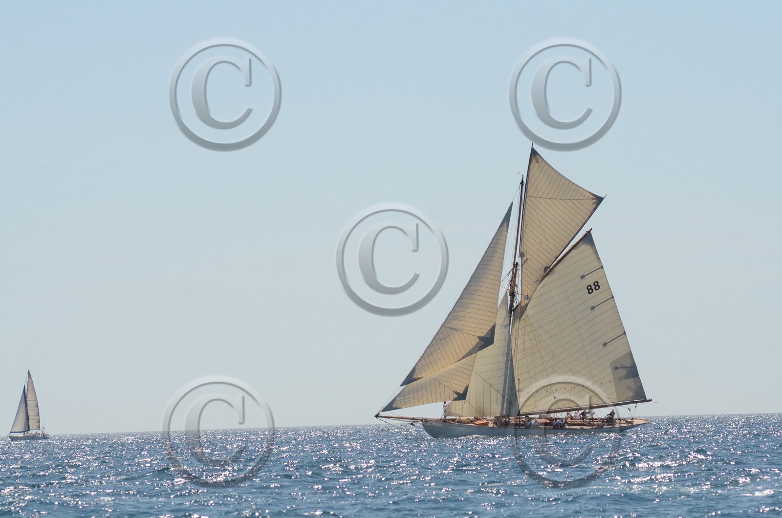 voile-vp-2012-2342.jpg