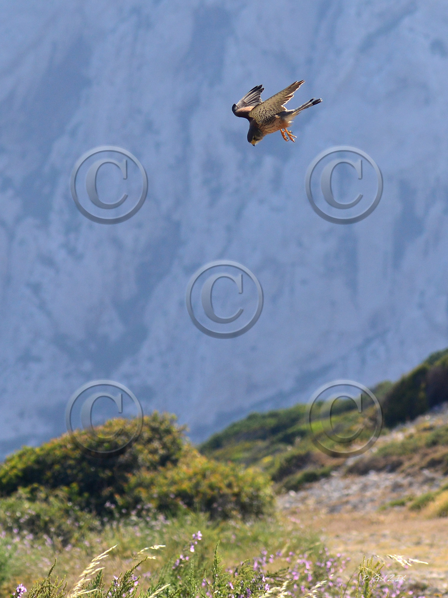 MISE A  JOUR  en cours