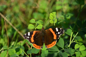 MISE A  JOUR  en cours