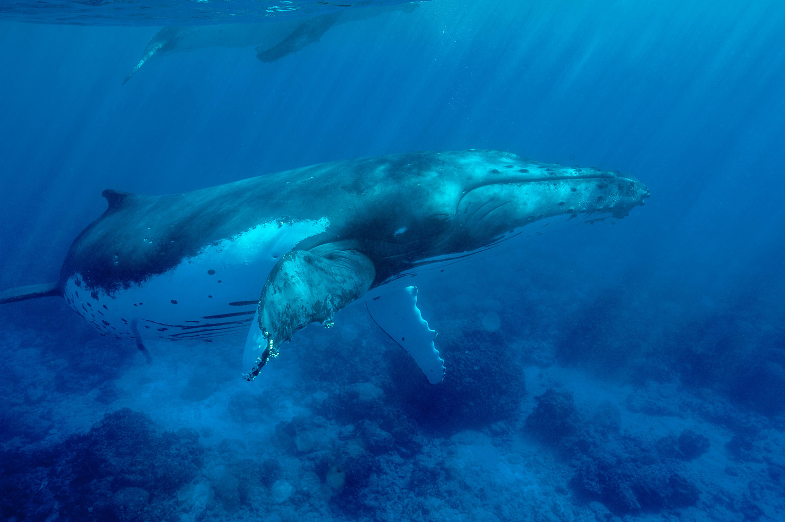 MISE A  JOUR  en cours