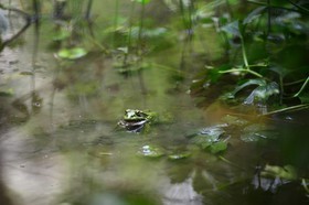 Photo de la sainte baume