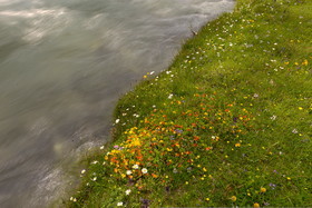 DANS LES ALPES DU SUD  , LE QUEYRAS