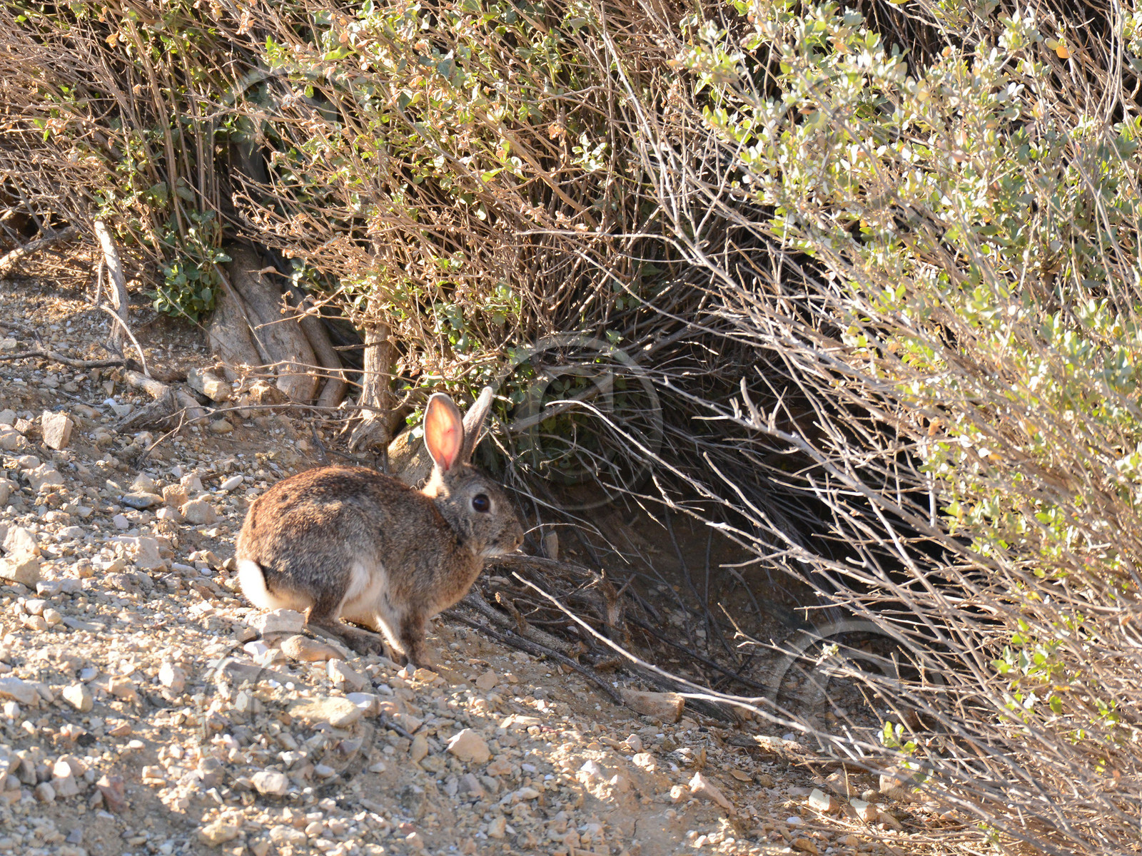 MISE A  JOUR  en cours