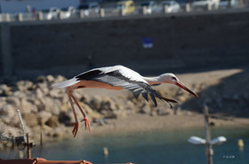 MISE A  JOUR  en cours