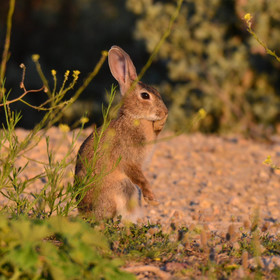 MISE A  JOUR  en cours