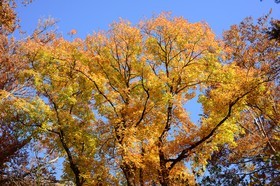 Photo de la sainte baume