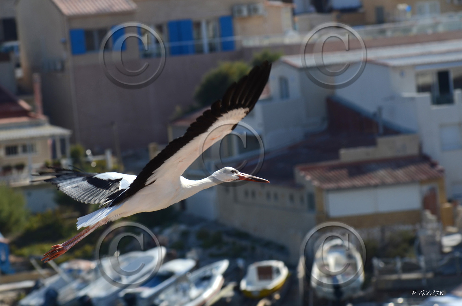 MISE A  JOUR  en cours