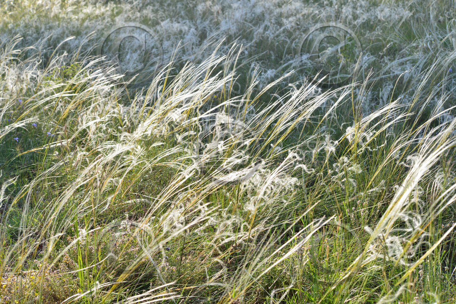 Photo de la sainte baume