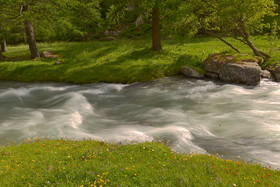 DANS LES ALPES DU SUD  , LE QUEYRAS