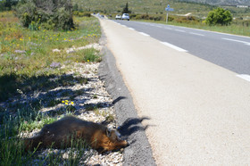 MISE A  JOUR  en cours