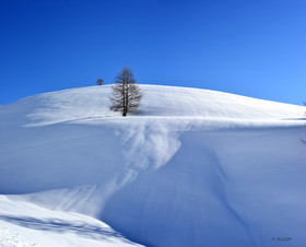 montagne haute alpes ,queyras, mercantour,alpes de haute provence,alpes maritime