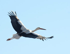 MISE A  JOUR  en cours