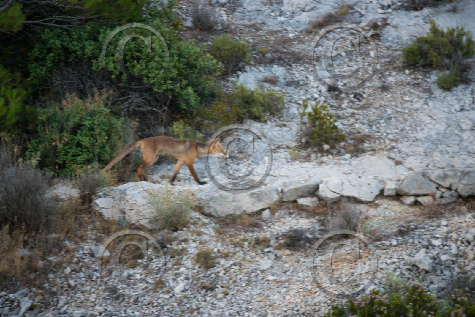 MISE A  JOUR  en cours