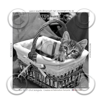 COLLECTION MAGNETIQUE&nbsp;MAGNET MARSEILLE et CALANQUE ,PROVENCE&nbsp; ........