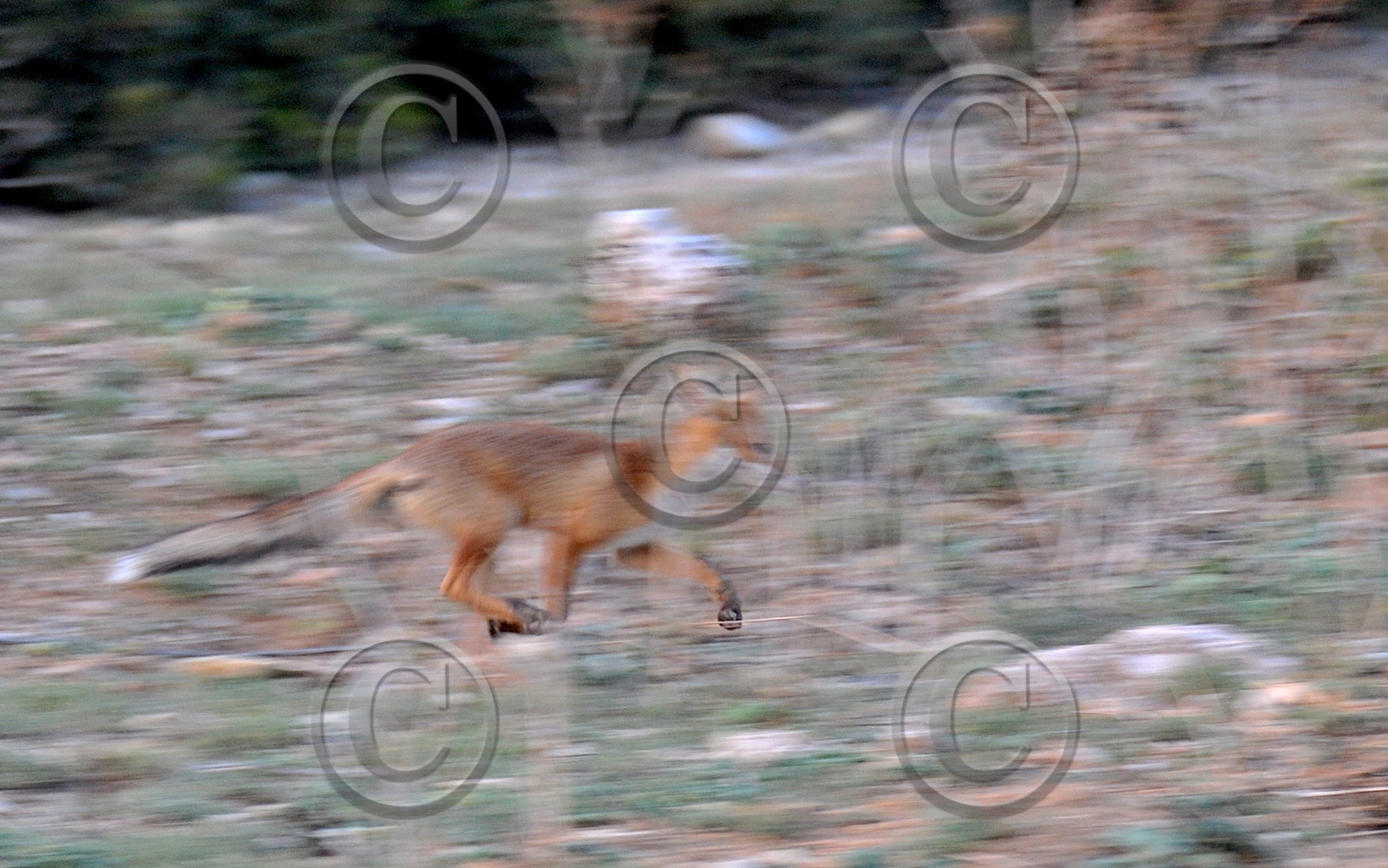 MISE A  JOUR  en cours