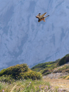 MISE A  JOUR  en cours