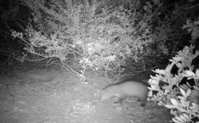 MISE A  JOUR  en cours