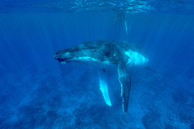 MISE A  JOUR  en cours