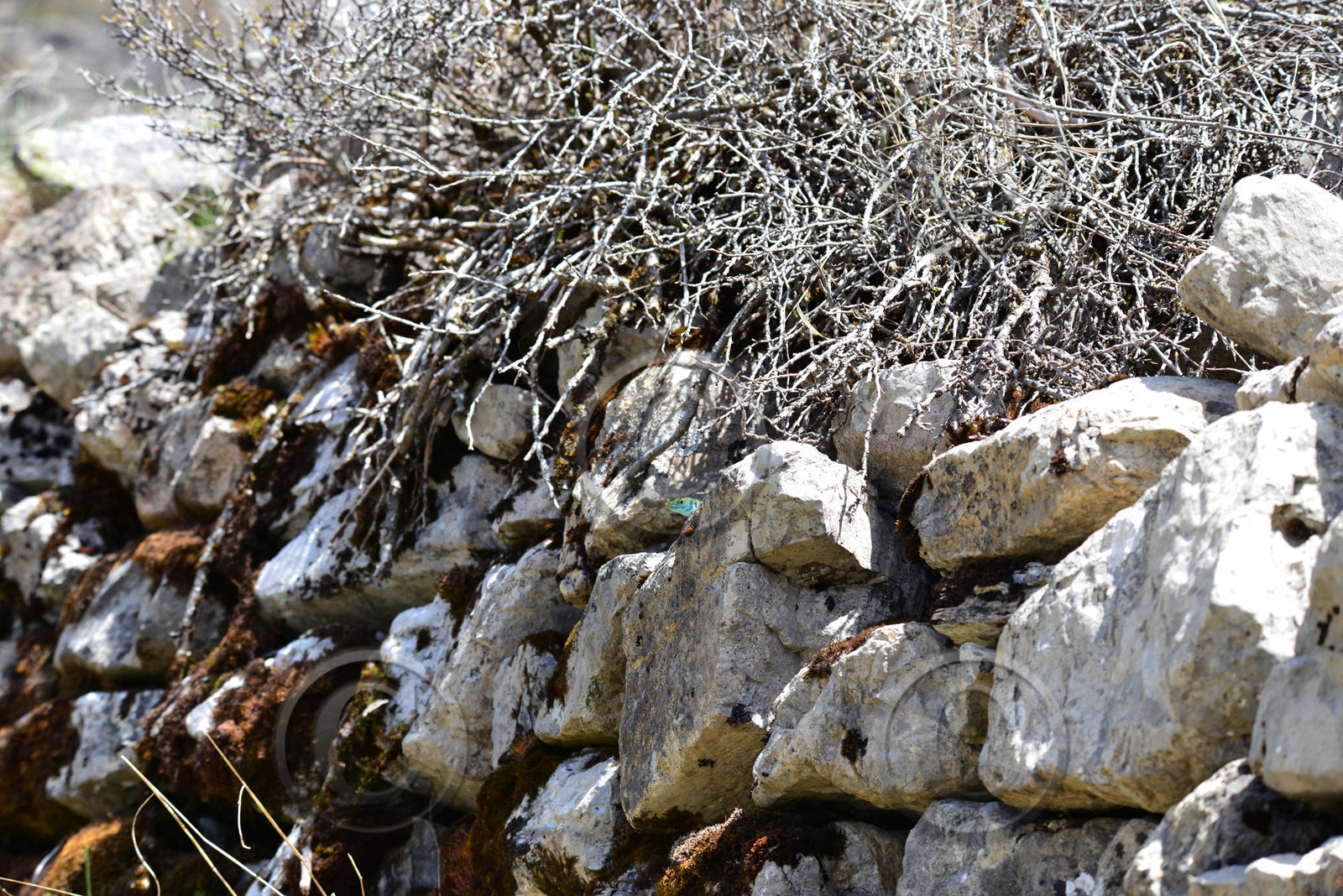 MISE A  JOUR  en cours