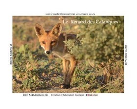 COLLECTION MAGNETIQUE&nbsp;MAGNET MARSEILLE et CALANQUE ,PROVENCE&nbsp; ........