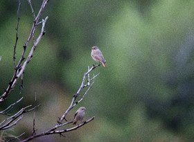 MISE A  JOUR  en cours