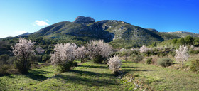 Photo de la sainte baume