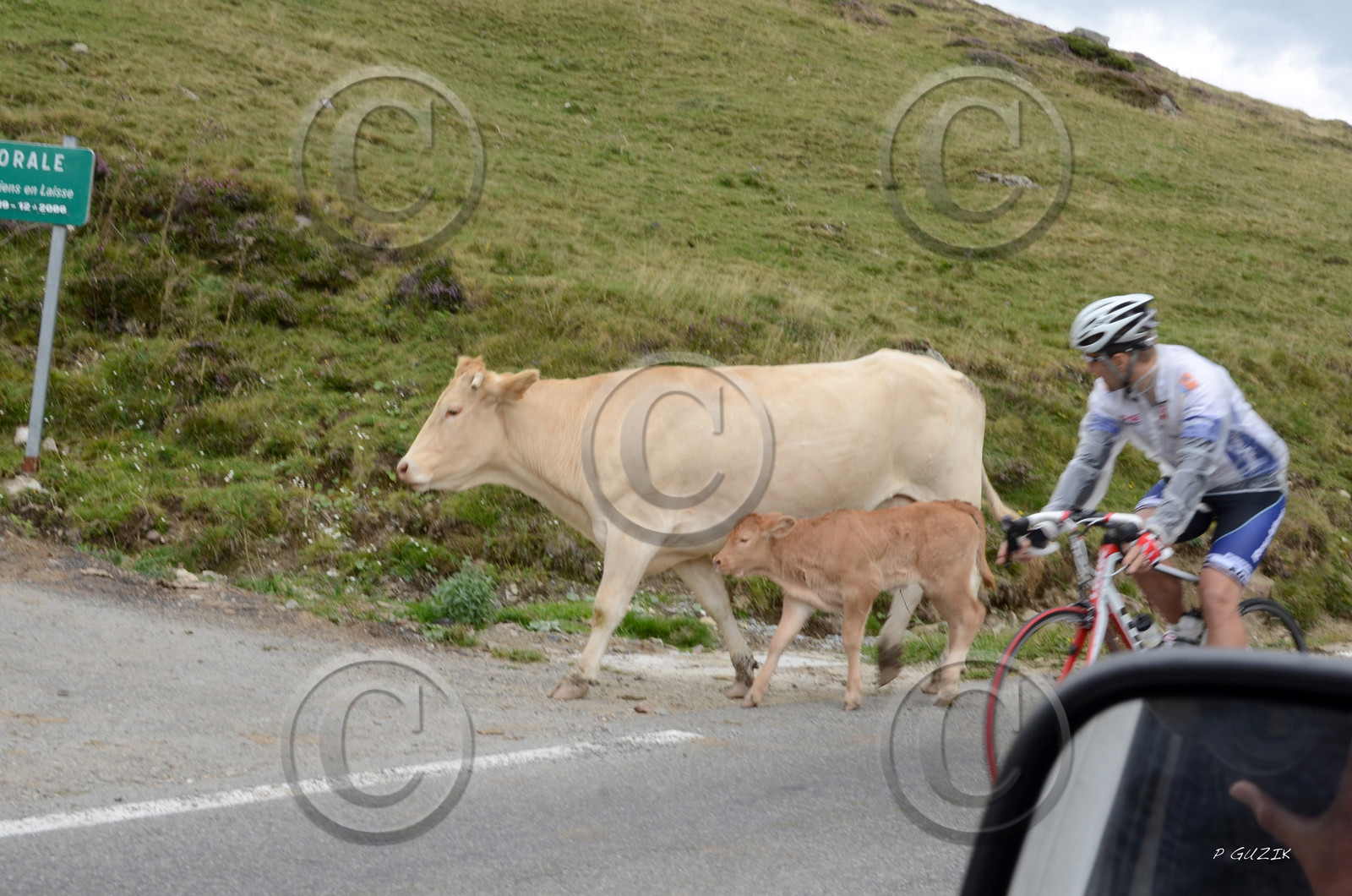montagne haute alpes ,queyras, mercantour,alpes de haute provence,alpes maritime