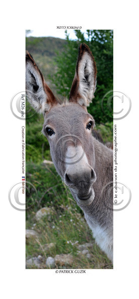 COLLECTION MAGNETIQUE&nbsp;MAGNET MARSEILLE et CALANQUE ,PROVENCE&nbsp; ........