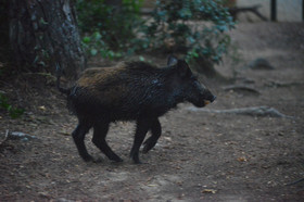 MISE A  JOUR  en cours