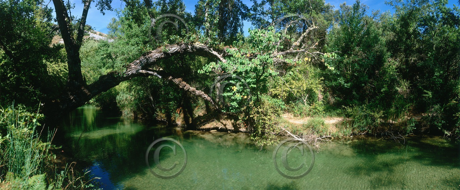 Photo de la sainte baume