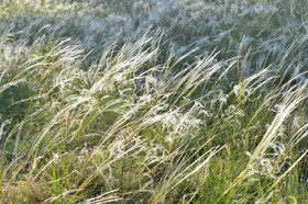 Photo de la sainte baume