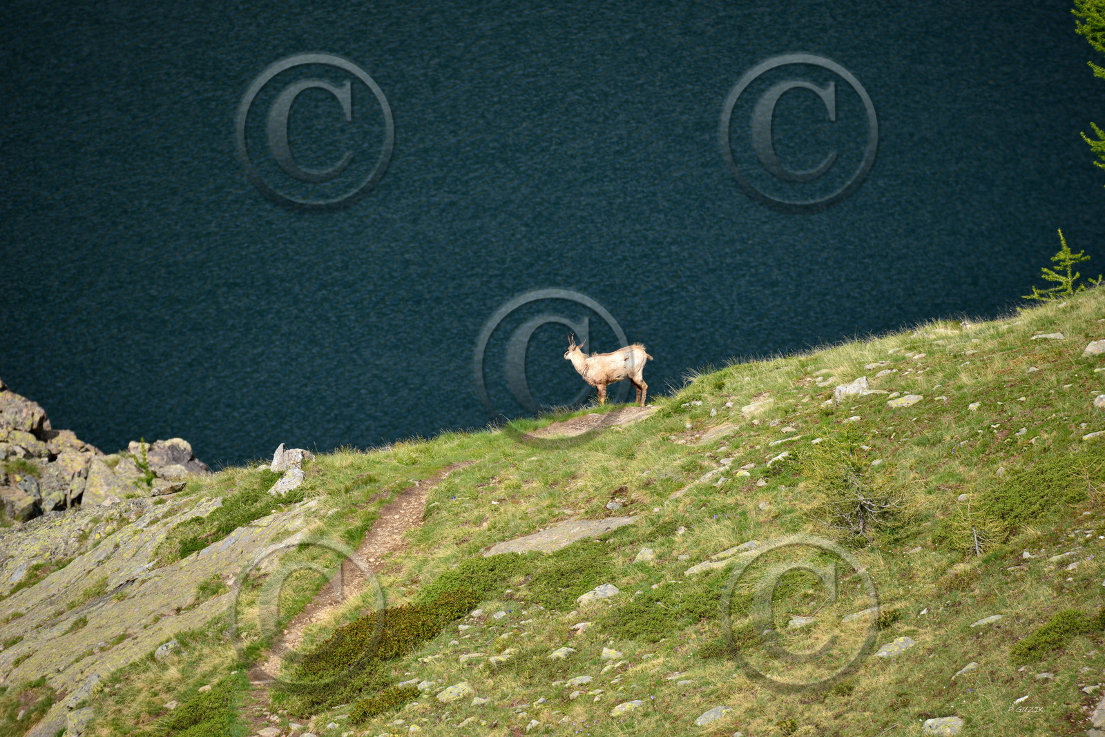 montagne haute alpes ,queyras, mercantour,alpes de haute provence,alpes maritime