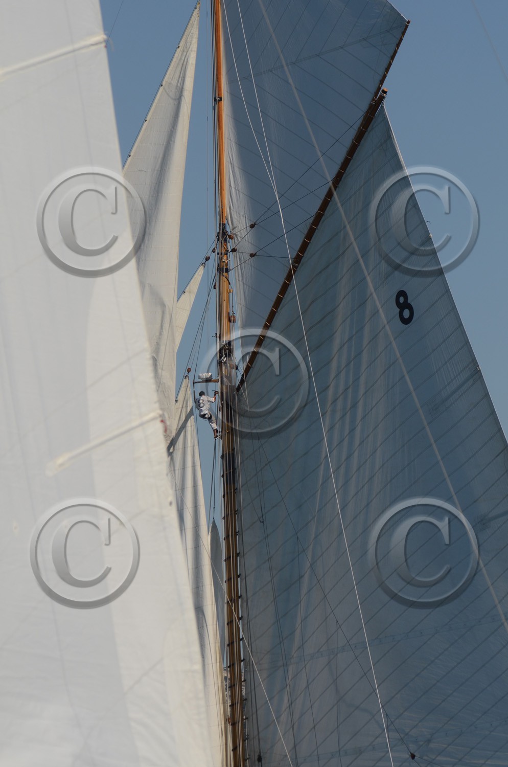 voile-vp-2012-2449.jpg