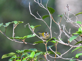 MISE A  JOUR  en cours