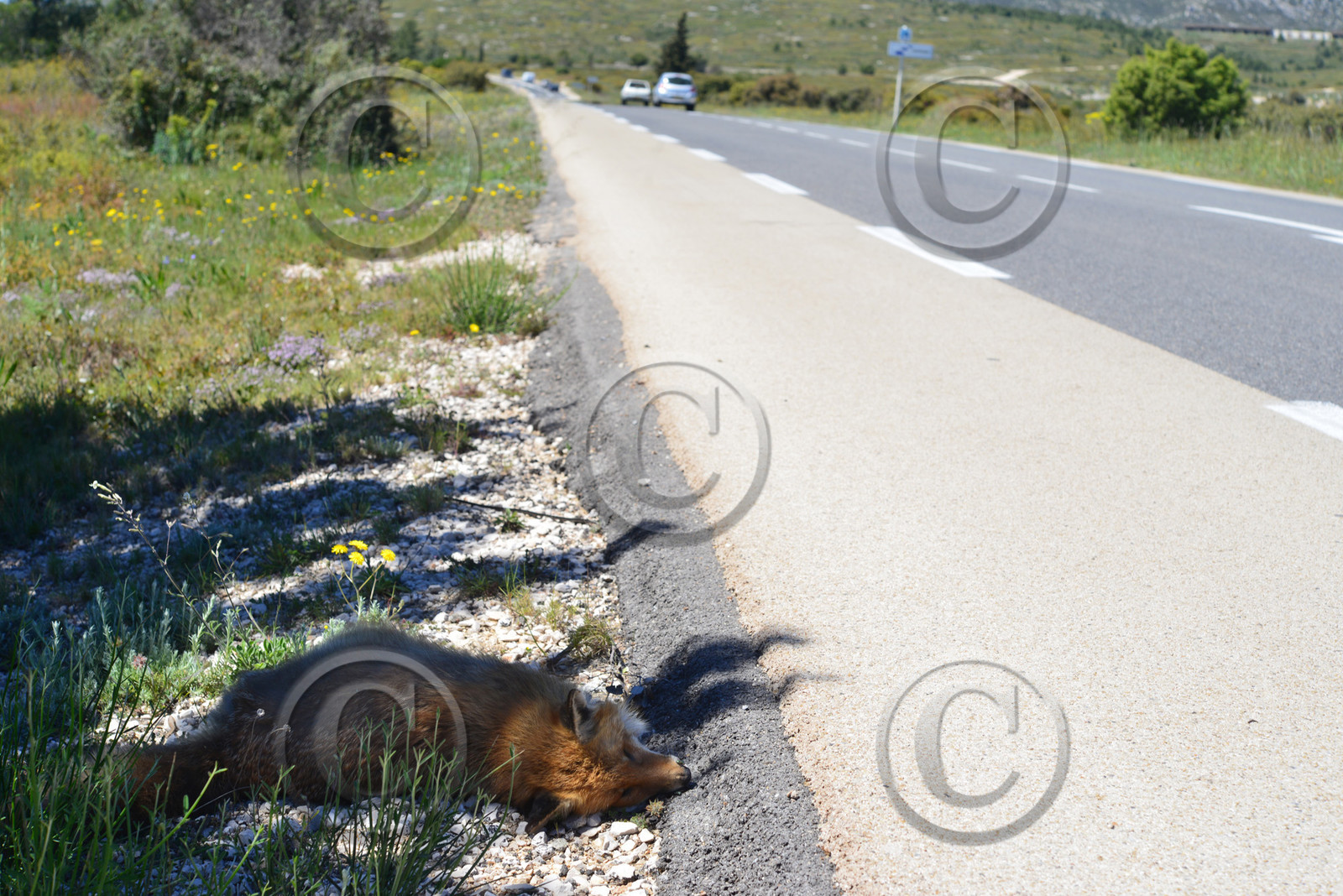 MISE A  JOUR  en cours