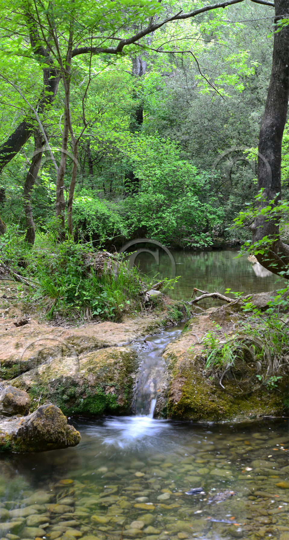 Photo de la sainte baume