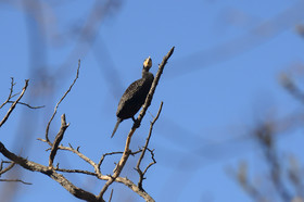 Photo de la sainte baume