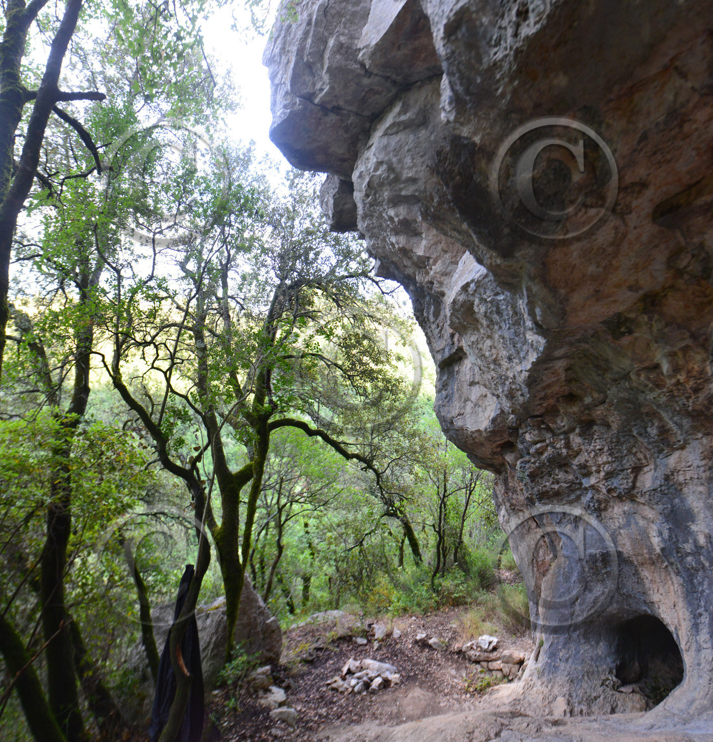 Photo de la sainte baume