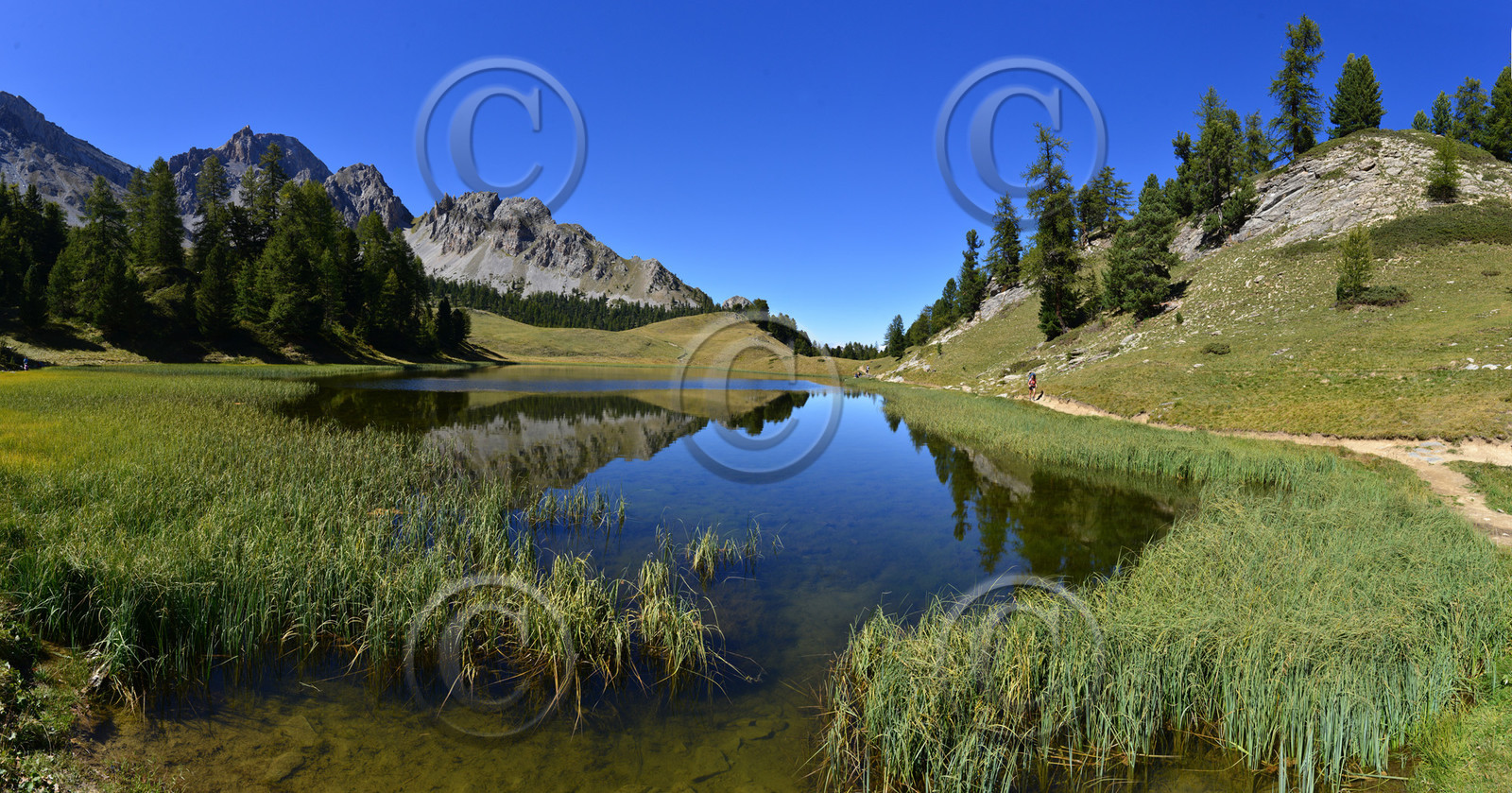 montagne haute alpes ,queyras, mercantour,alpes de haute provence,alpes maritime