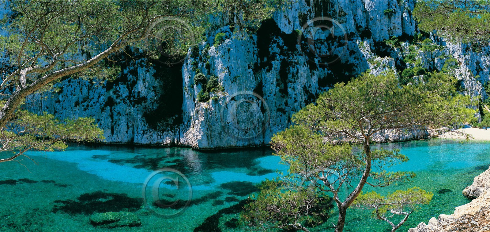 CALANQUE EN VAU  LE LAGON CALANQUE DE MARSEILLE en format 50X100cm