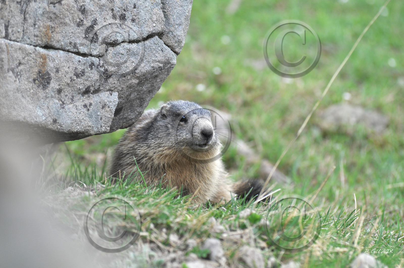 MISE A  JOUR  en cours