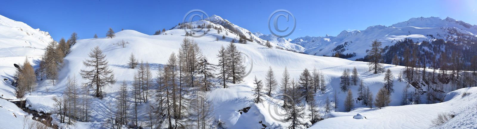 montagne haute alpes ,queyras, mercantour,alpes de haute provence,alpes maritime