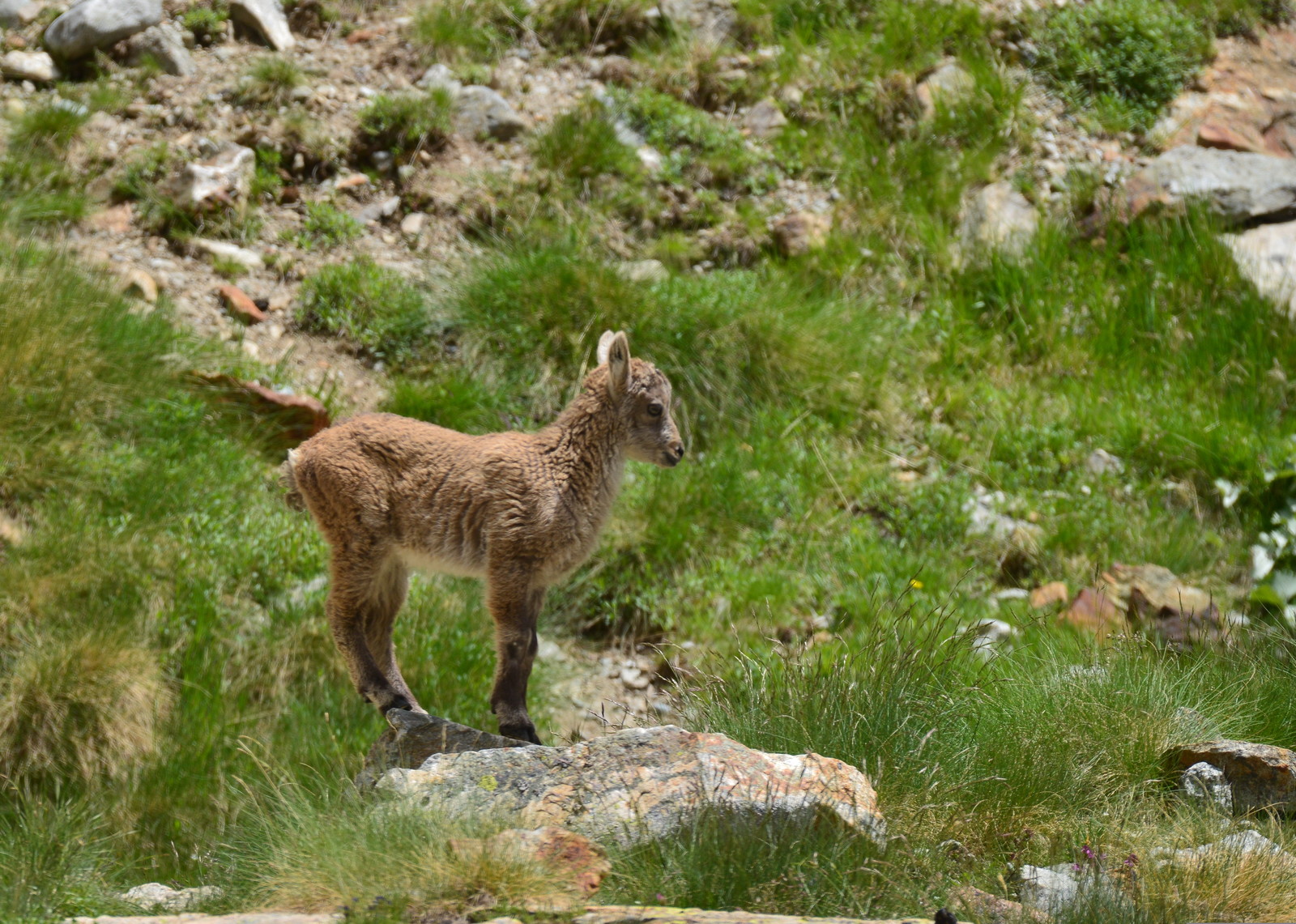 MISE A  JOUR  en cours