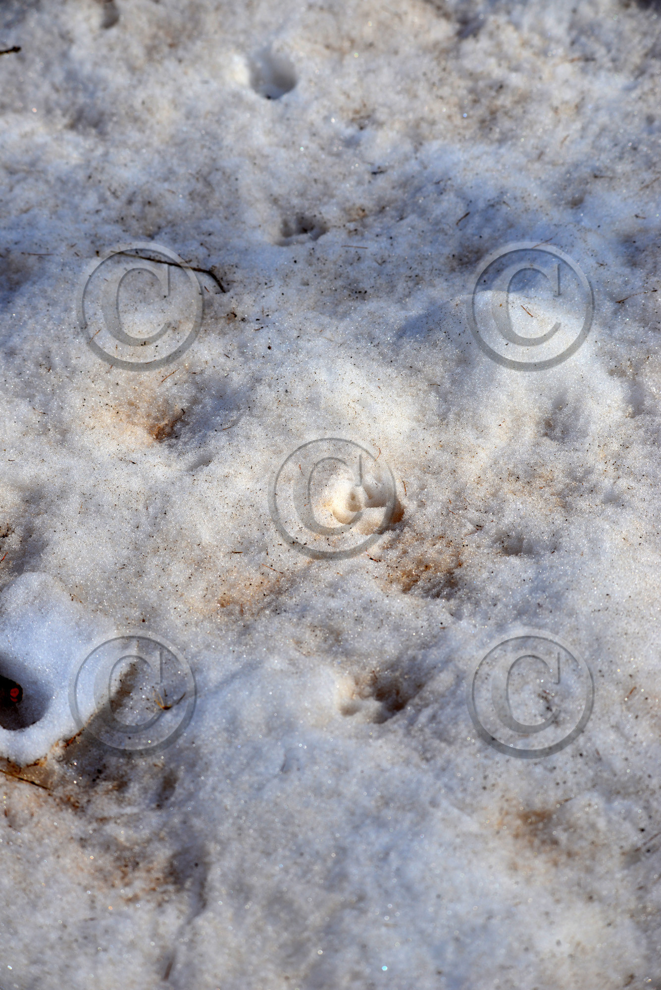 MISE A  JOUR  en cours