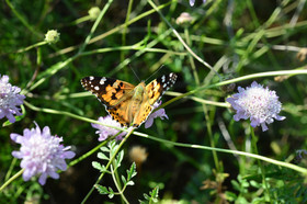 MISE A  JOUR  en cours